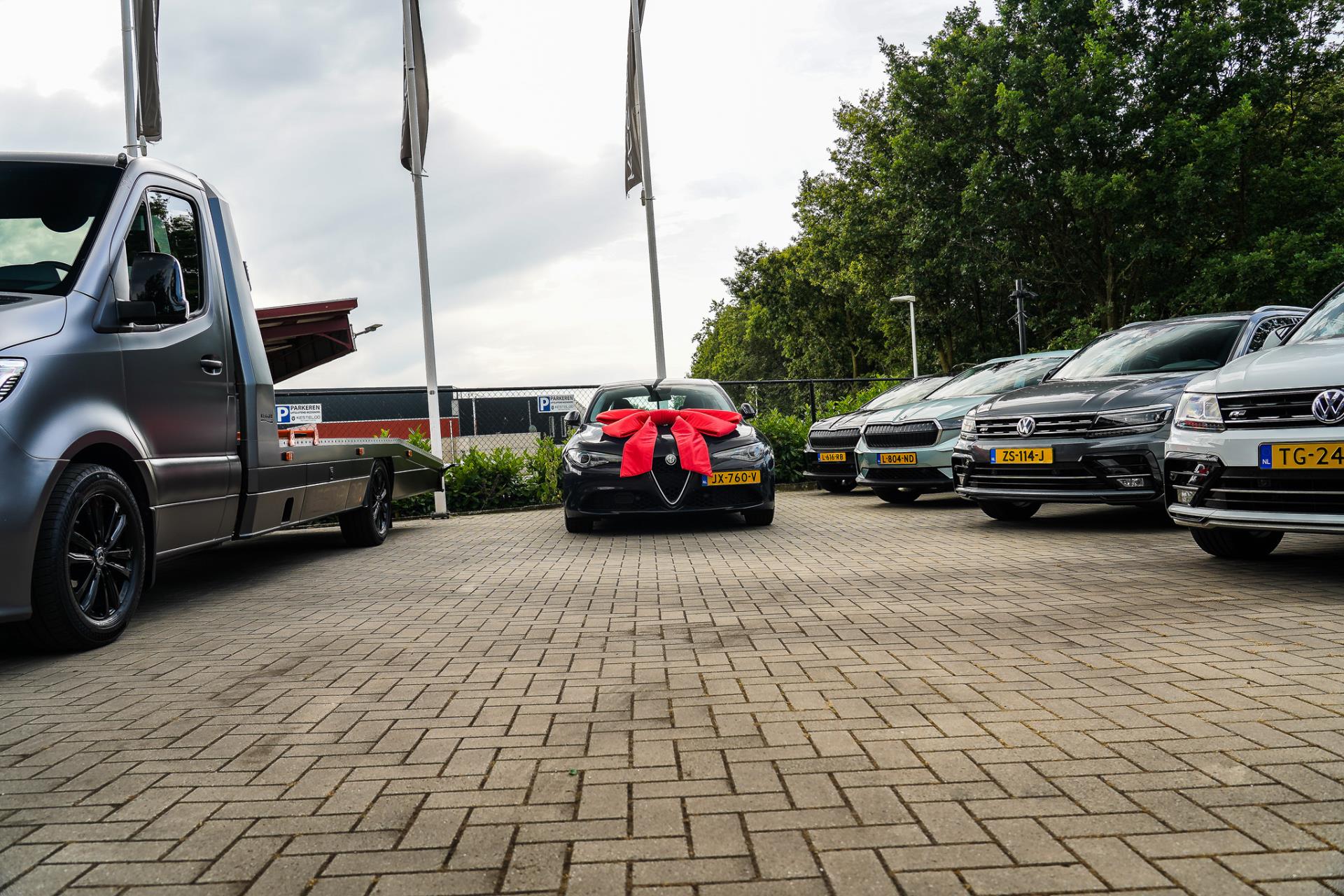 44772859-69.jpg