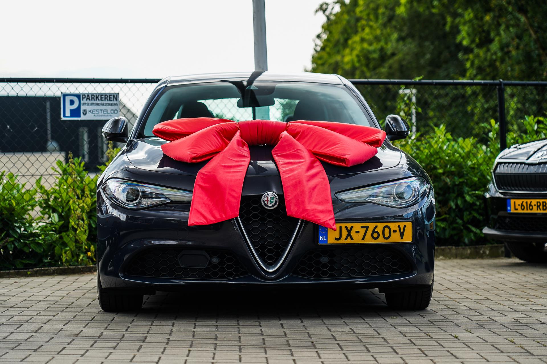 45875350-70.jpg